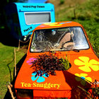 Tea-Snuggery Show thumbnail