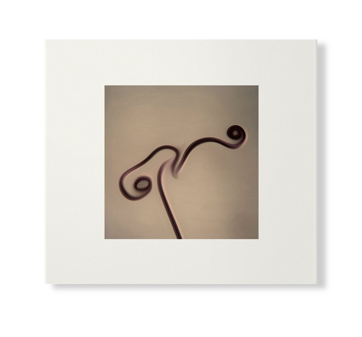 ■[廃盤] SLOTHREAT アルバムCD「Allium」■ バンド □[廃盤] SLOTHREAT アルバムCD「Allium」□ バンド ALBUM