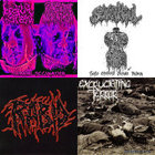 EXCRUCIATING TERROR - Expression Of Pain - LP | Insane Society records