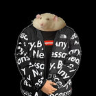 rumdalf thumbnail