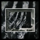 big stacks thumbnail