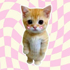 digestme thumbnail