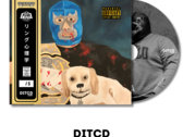 Arschloch-onna ノイズCD Arschloch-onna ノイズCD