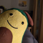 Erin thumbnail