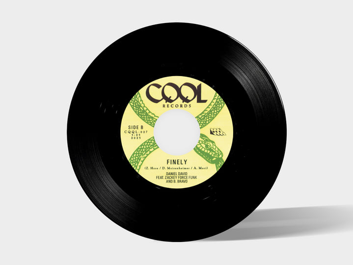 邦楽 SHANK Rude Foundation CD Below The Static - Orange & Oxblood Aside/Bside W/ Black