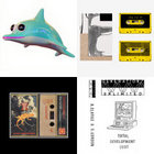 洋楽 What Is My Porpoise? DOLPHIN HYPERSPACE What is my Porpoise? | Dolphin Hyperspace