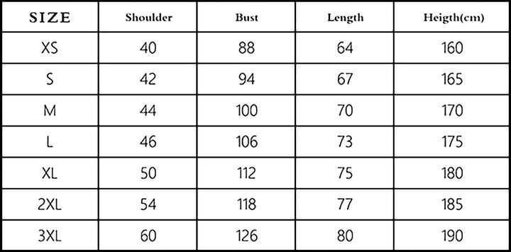 ベルセルク Chinese Black Metal Tribute 非売品 CD Chinese Black CD