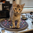 DJ Dan ET thumbnail