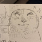 redspleen thumbnail