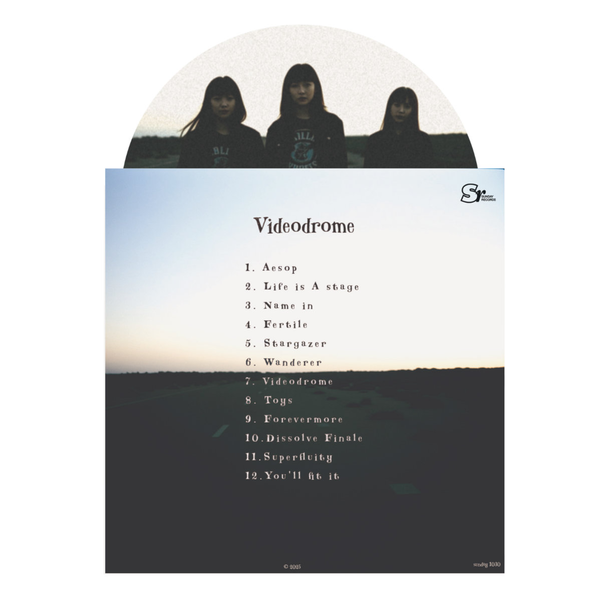 Videodrome | The Wulongs | Sunday Records