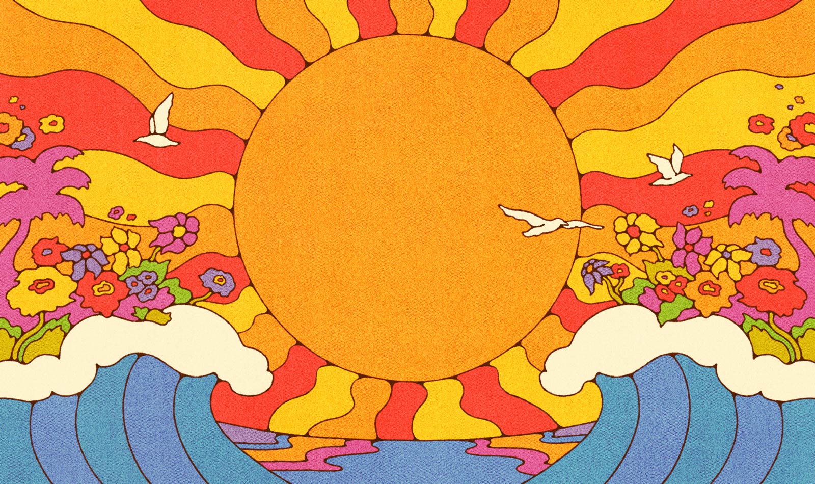 Endless Summer: A Sunshine Pop Primer | Bandcamp Daily