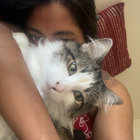 sumeow thumbnail