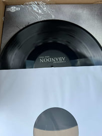 Limited Edition 12" LP [Black], image 4