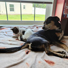 MOKSHA 鬱P 鬱P (Utsu-P) - MOKSHA Lyrics and Tracklist | Genius