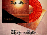 洋楽 Night in gales/skyphlike Sylphlike (Re-Recording 2025) | Night in Gales