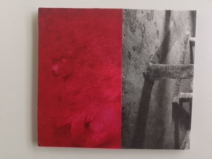 洋楽 Carcinosi Maurizio Bianchi M.B. Handmade editions | Maurizio Bianchi / M. B.