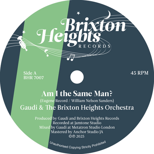 Am I the Same Man? / Am I the Dub Man | Gaudi & Brixton Heights