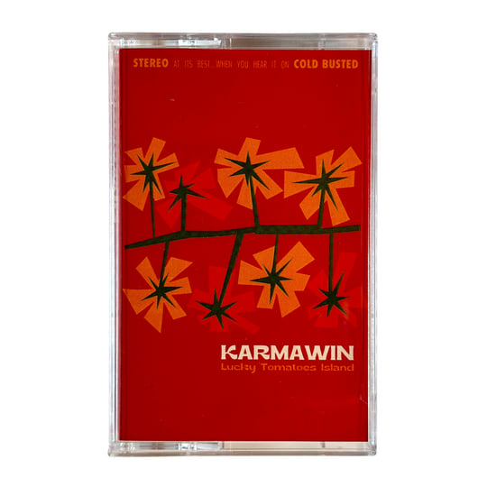 LUCKY RUDY×beatfpg Rudy Project | Leadville Trail 100 MTB Protera+ | Custom Helmets