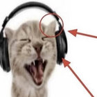 Music Found In Ear thumbnail