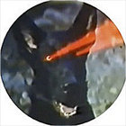 carlos_humus thumbnail