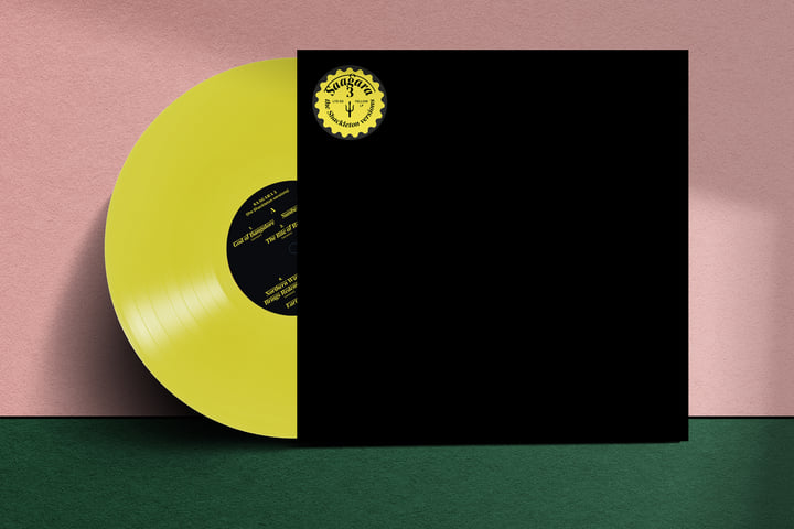 3 The Shackleton Versions | Saagara | Waclaw Zimpel