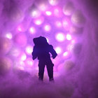 Niel McLaren thumbnail