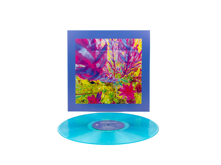 The Past Is A Garden I Never Fed | The Reds, Pinks & Purples