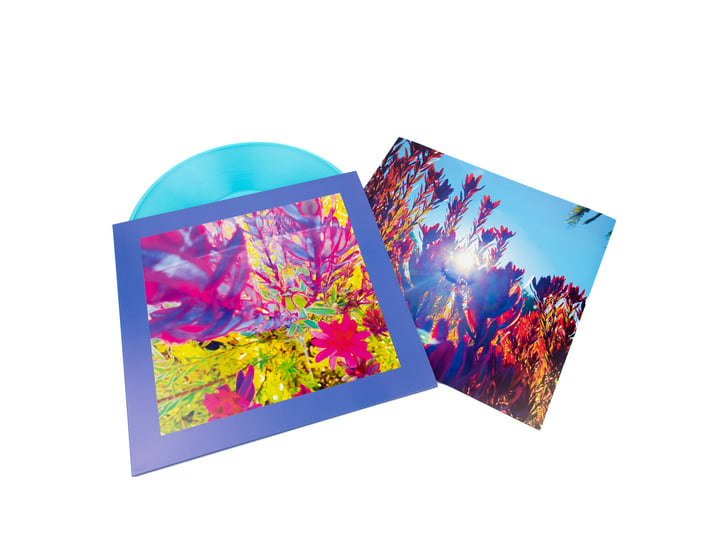 The Past Is A Garden I Never Fed | The Reds, Pinks & Purples