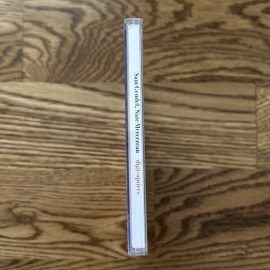 美品digi-squires Sam Gendel+Nate Mercereau digi-squires | Sam Gendel, Nate Mercereau | Sam Gendel