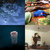 elliotokay thumbnail