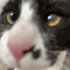 aaaaaaaaaaaaaaalex thumbnail