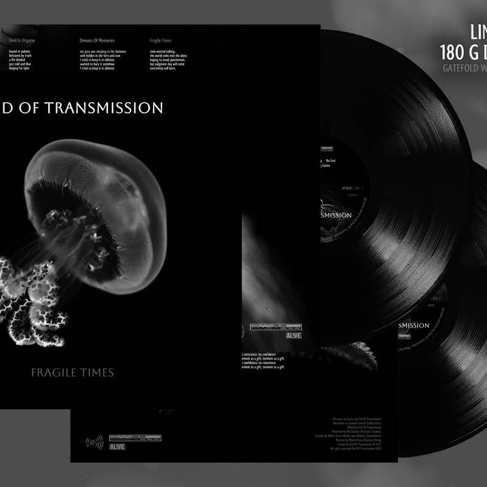 Fragile Times – Double Vinyl