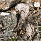 Pathway__ thumbnail