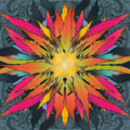 Rootment image