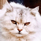 Mukta thumbnail