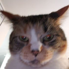 graeme thumbnail