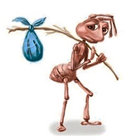 anulzednemogeid thumbnail