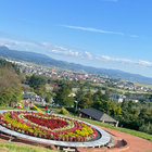 TODAY'S DIARY | 葛飾出身