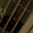 terry66 thumbnail
