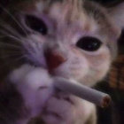 r666my thumbnail