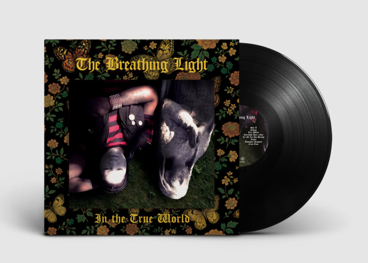 洋楽 Dreams (B.I.G. Classics Reimagined) 2LP DREAMS (B.I.G. CLASSICS REIMAGINED) 2LP 洋楽