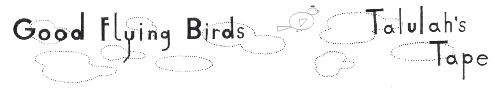Good Flying Birds — Photo