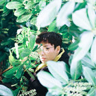 Happy in the Hollow | Toy