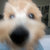 justofull thumbnail