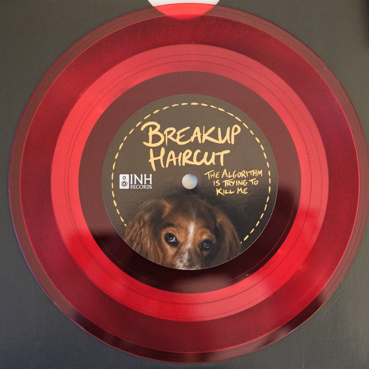 The Algorithm Is Trying To Kill Me / Remy | Breakup Haircut | INH Records