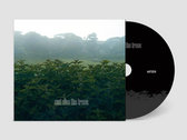 希少 And Also The Trees CD まとめ Merch | And Also The Trees