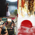 brownbird thumbnail
