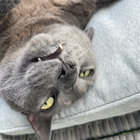 munteashka thumbnail