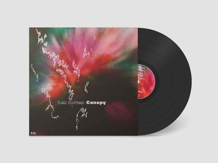 LEX original 12inch vinyl lp レコード LEX original 12inch vinyl lp
