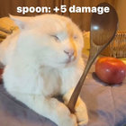 joshwithaspoon thumbnail